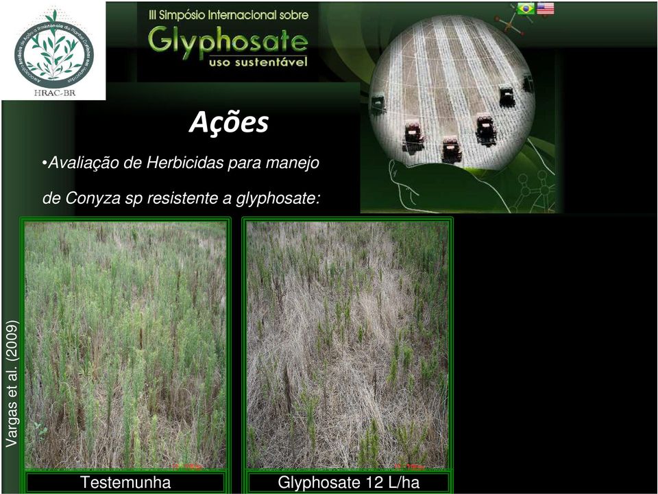 resistente a glyphosate: Vargas