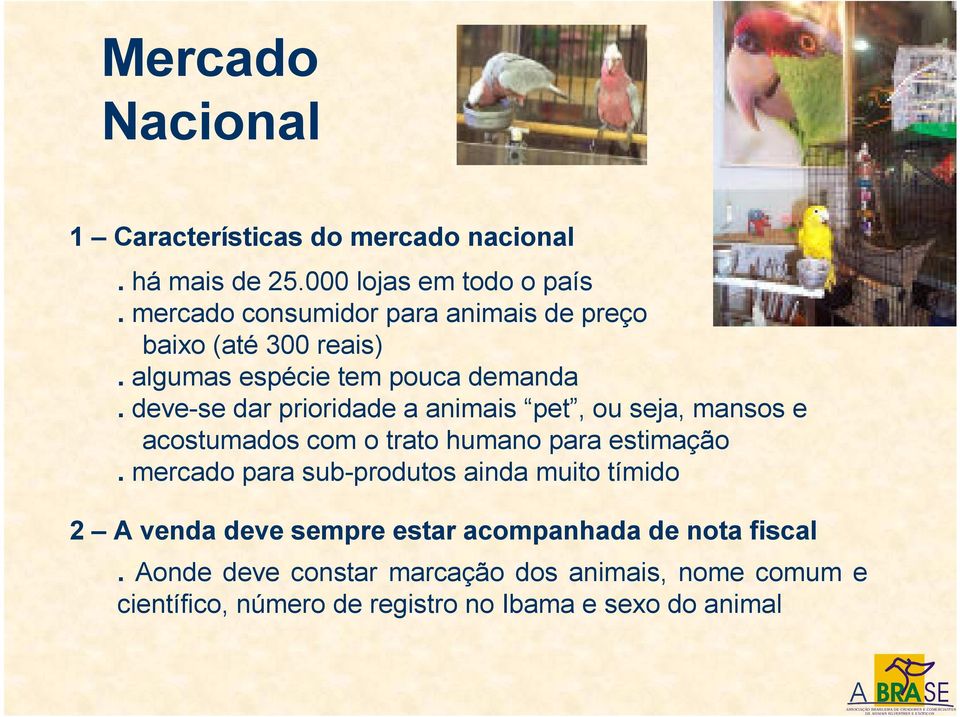 deve-se dar prioridade a animais pet, ou seja, mansos e acostumados com o trato humano para estimação.