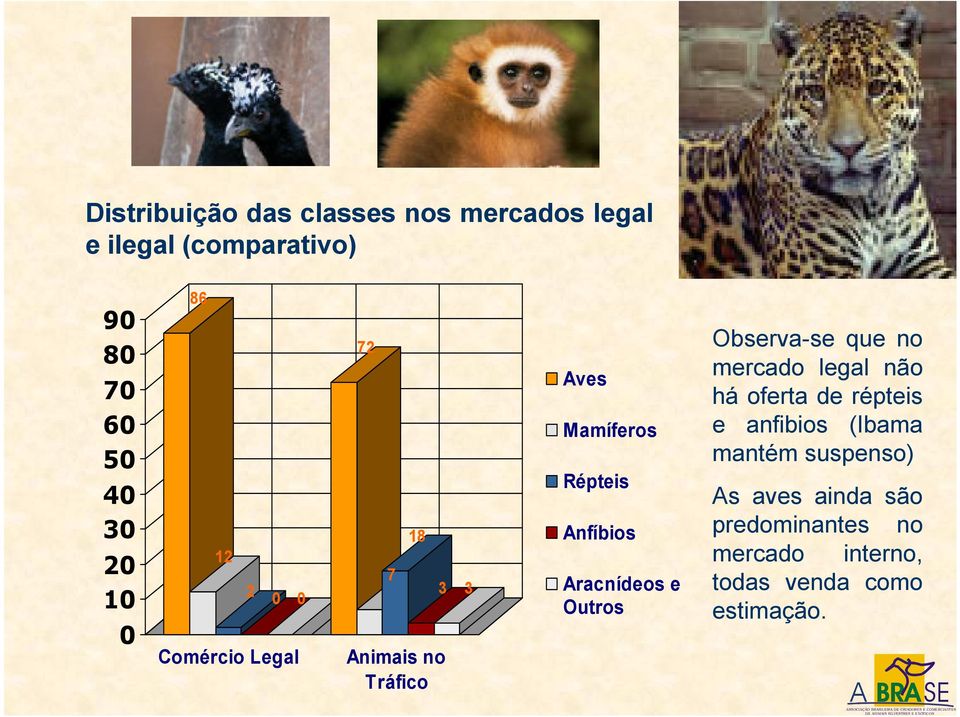 Aracnídeos e Outros Observa-se que no mercado legal não há oferta de répteis e anfibios (Ibama