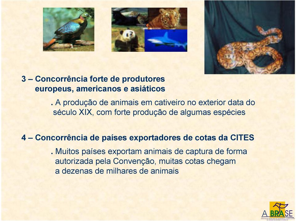 algumas espécies 4 Concorrência de países exportadores de cotas da CITES.