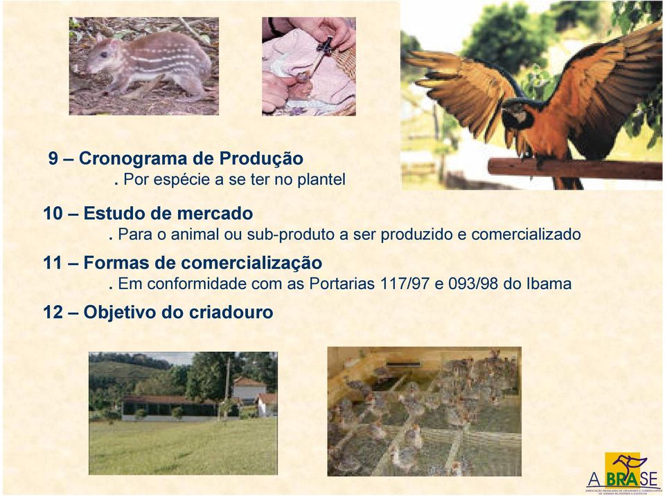 Para o animal ou sub-produto a ser produzido e comercializado