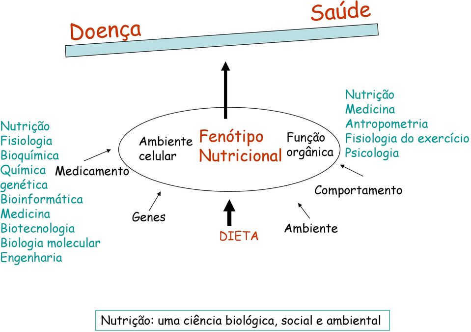 Genes Fenótipo Nutricional DIETA Função orgânica Ambiente Nutrição Medicina