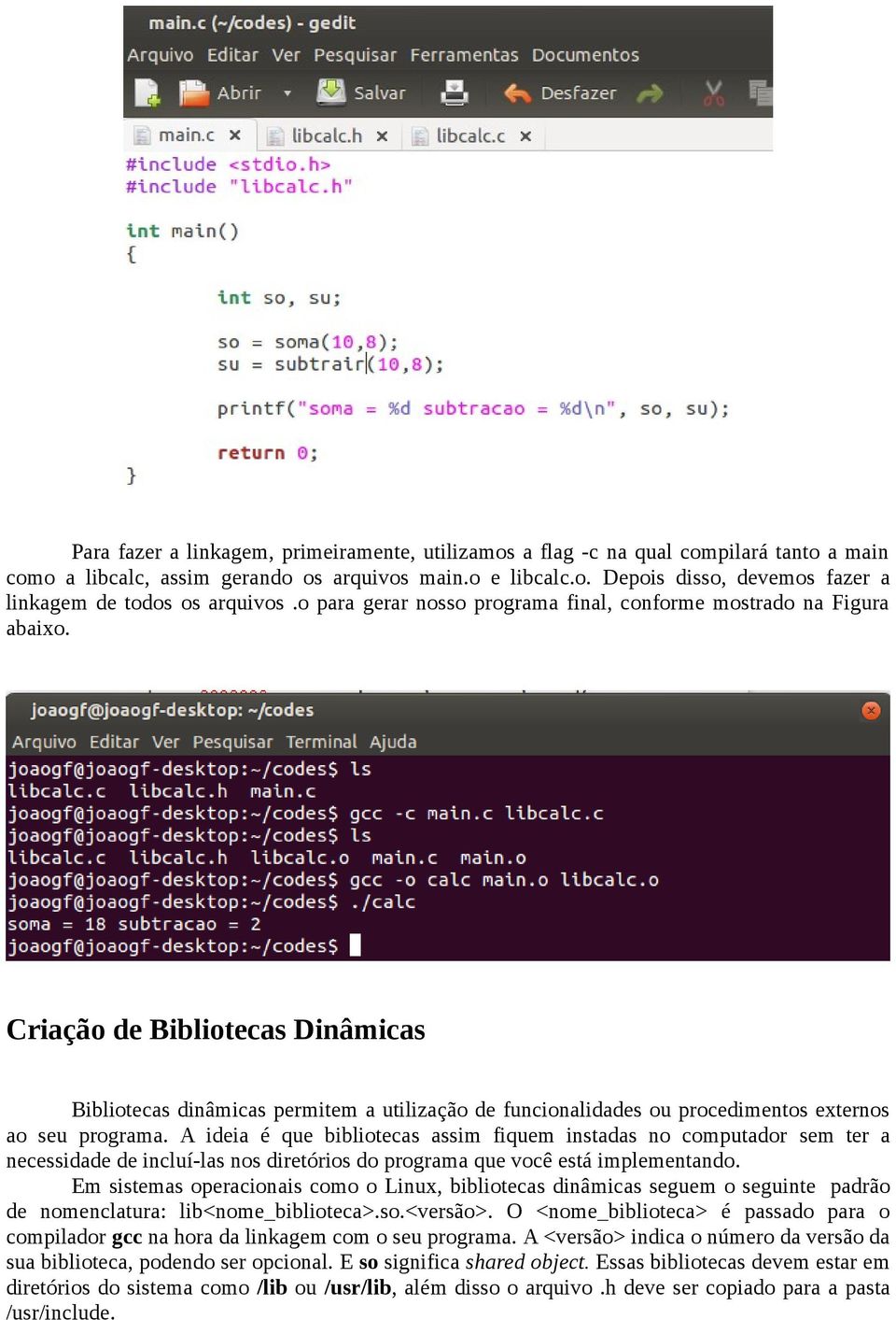 Criação de Bibliotecas Dinâmicas Bibliotecas dinâmicas permitem a utilização de funcionalidades ou procedimentos externos ao seu programa.