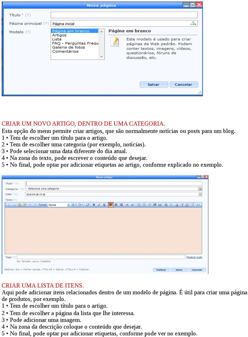 5 No final, pode optar por adicionar etiquetas ao artigo, conforme explicado no exemplo. CRIAR UMA LISTA DE ITENS. Aqui pode adicionar itens relacionados dentro de um modelo de página.