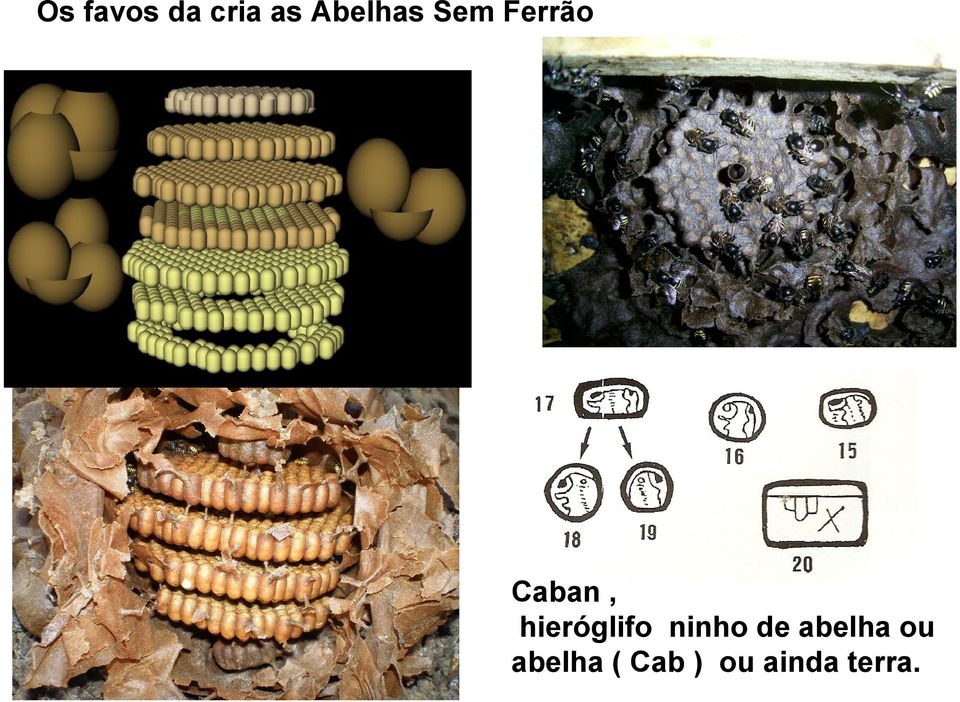 hieróglifo ninho de abelha