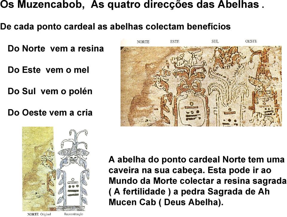 D o Do Sul vem o polén Do Oeste vem a cria A abelha do ponto cardeal Norte tem uma caveira