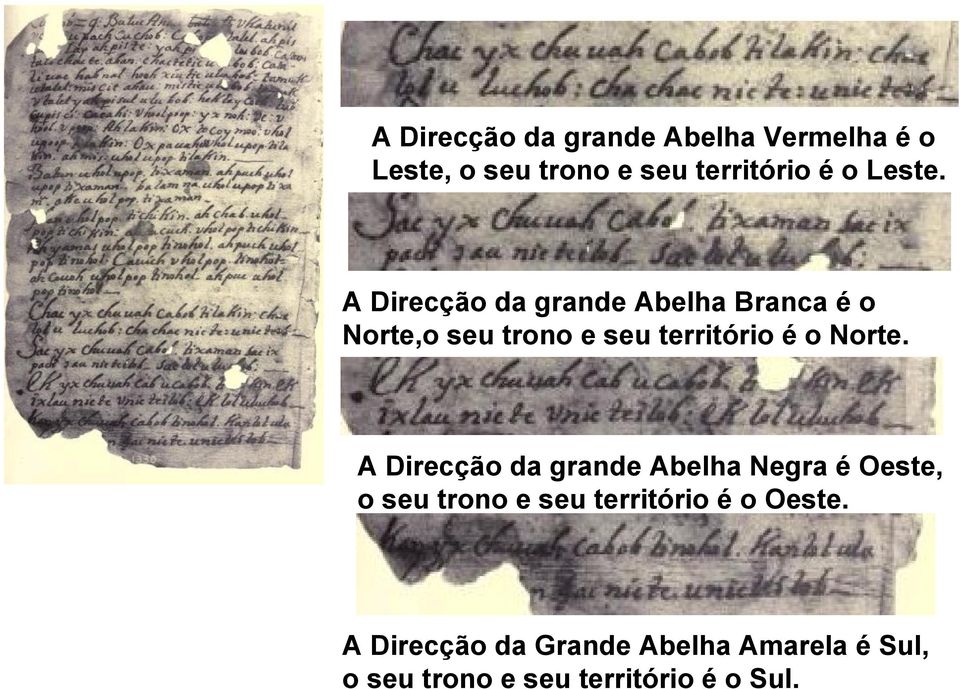 A Direcção da grande Abelha Branca é o Norte,o seu trono e seu território é o Norte.