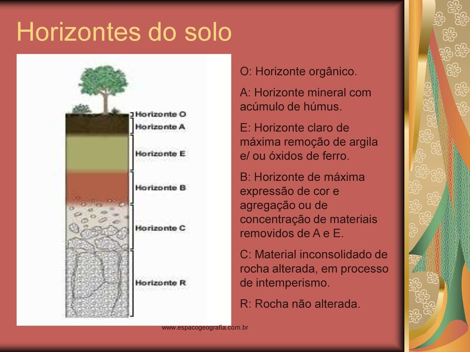 B: Horizonte de máxima expressão de cor e agregação ou de concentração de materiais