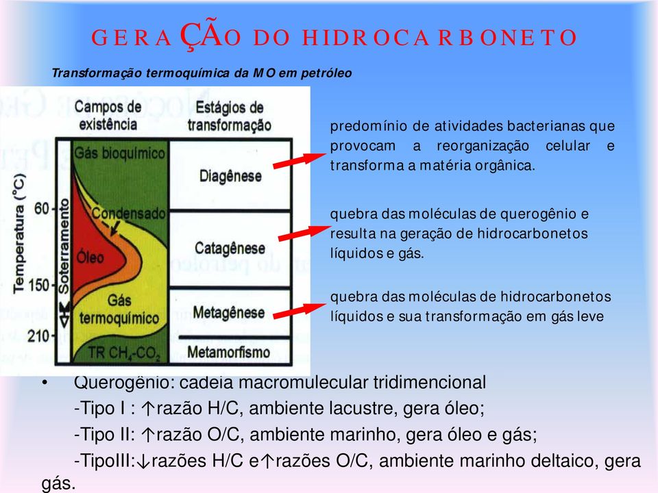 quebra das moléculas de hidrocarbonetos líquidos e sua transformação em gás leve Querogênio: cadeia macromulecular tridimencional -Tipo I :