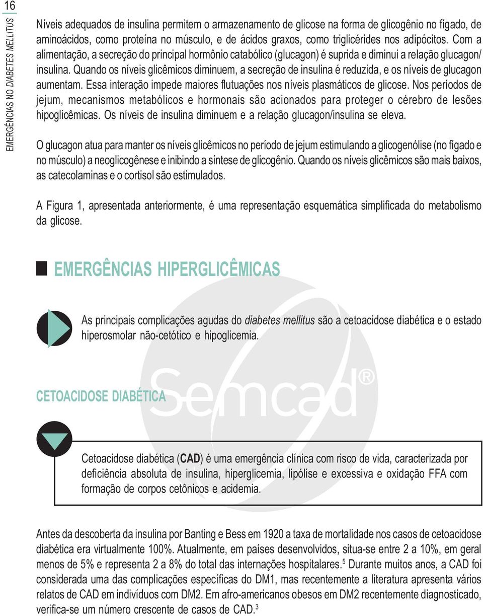 Quando os níveis glicêmicos diminuem, a secreção de insulina é reduzida, e os níveis de glucagon aumentam. Essa interação impede maiores flutuações nos níveis plasmáticos de glicose.