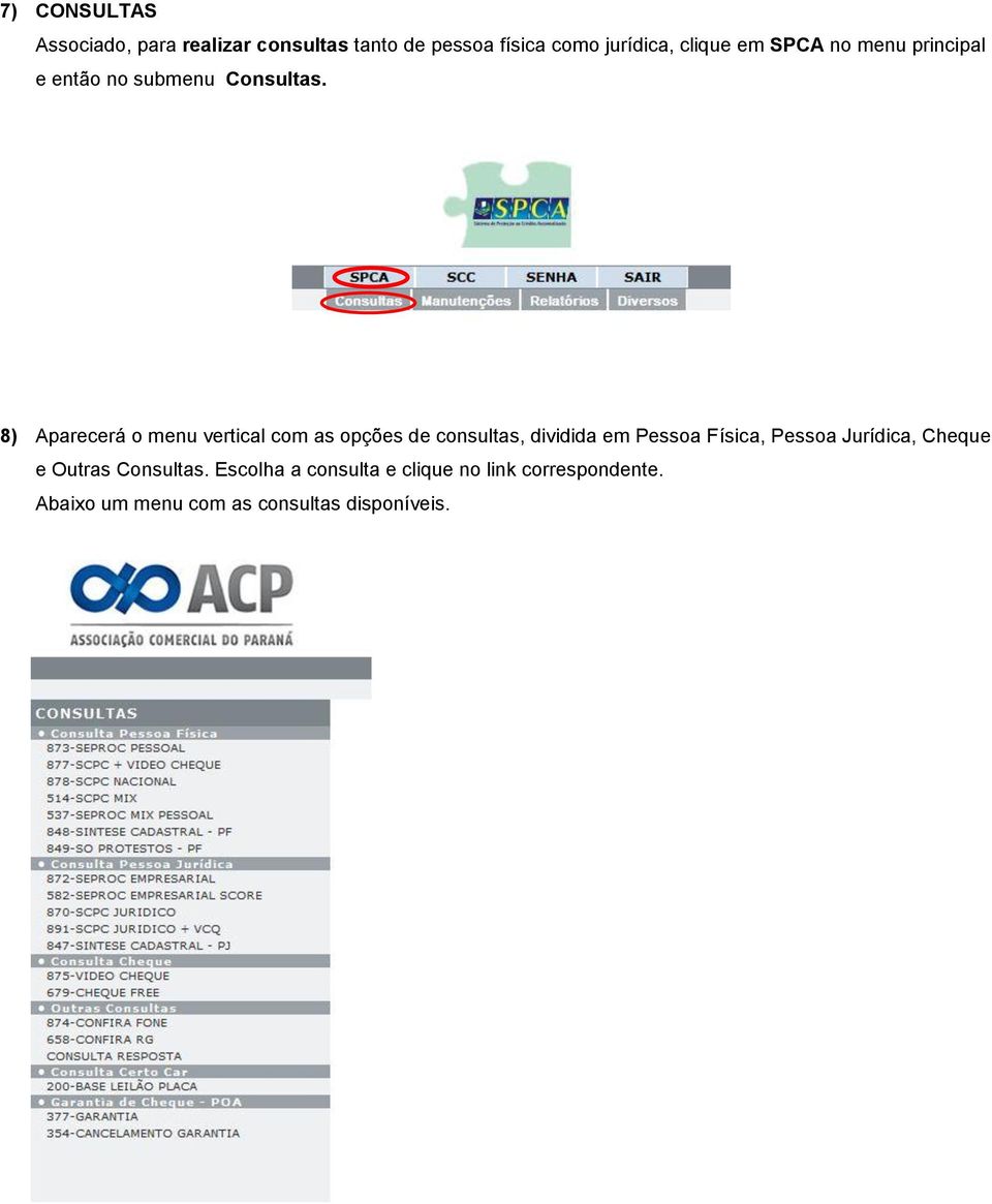 8) Aparecerá o menu vertical com as opções de consultas, dividida em Pessoa Física, Pessoa