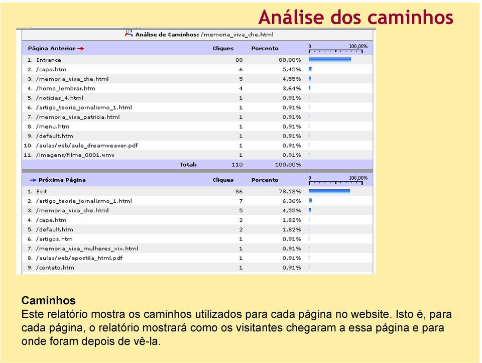 Isto é, para cada página, o relatório mostrará como os