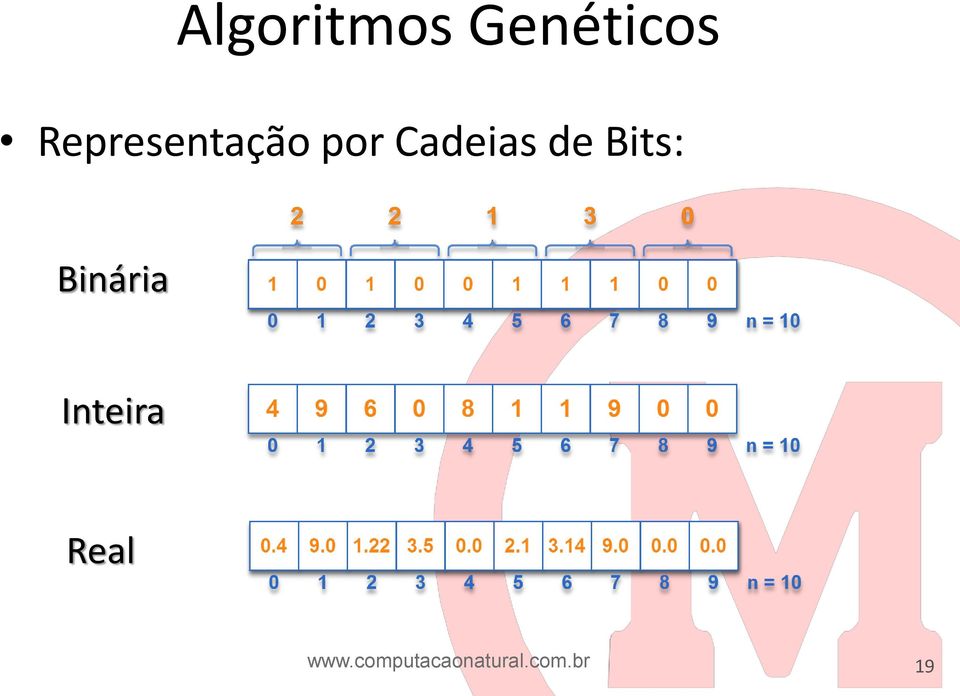 de Bits: Binária Inteira