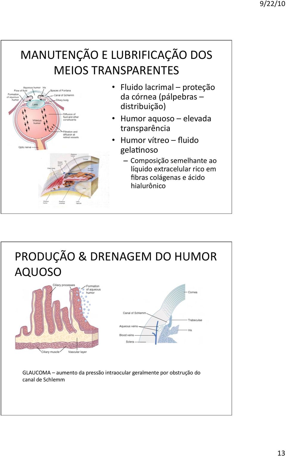 semelhante ao líquido extracelular rico em fibras colágenas e ácido hialurônico PRODUÇÃO &