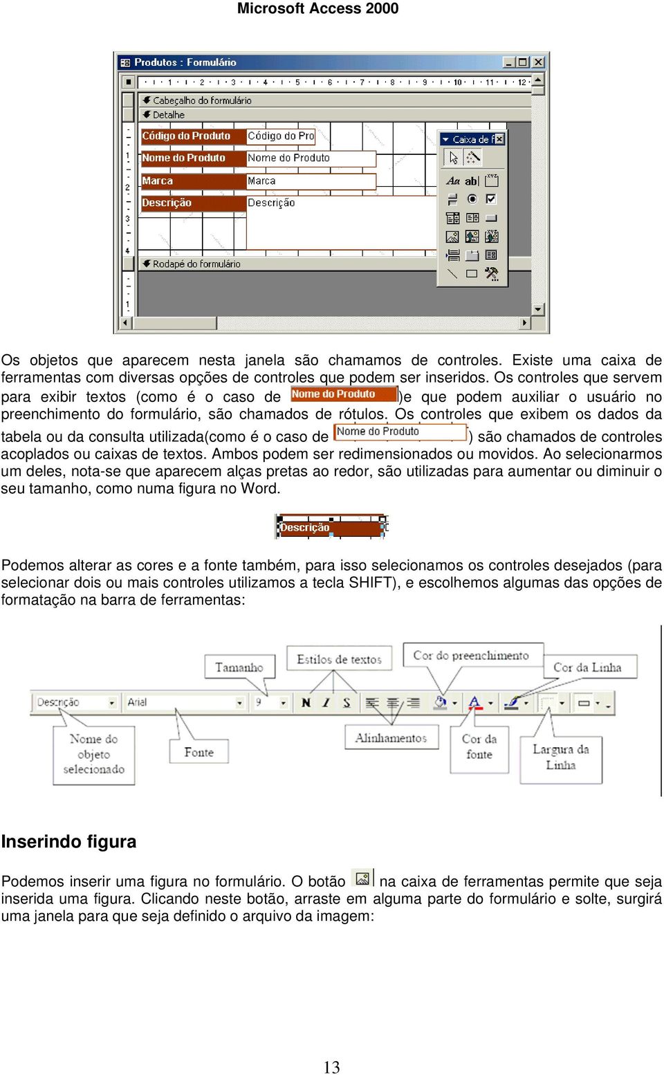 Os controles que exibem os dados da tabela ou da consulta utilizada(como é o caso de ) são chamados de controles acoplados ou caixas de textos. Ambos podem ser redimensionados ou movidos.