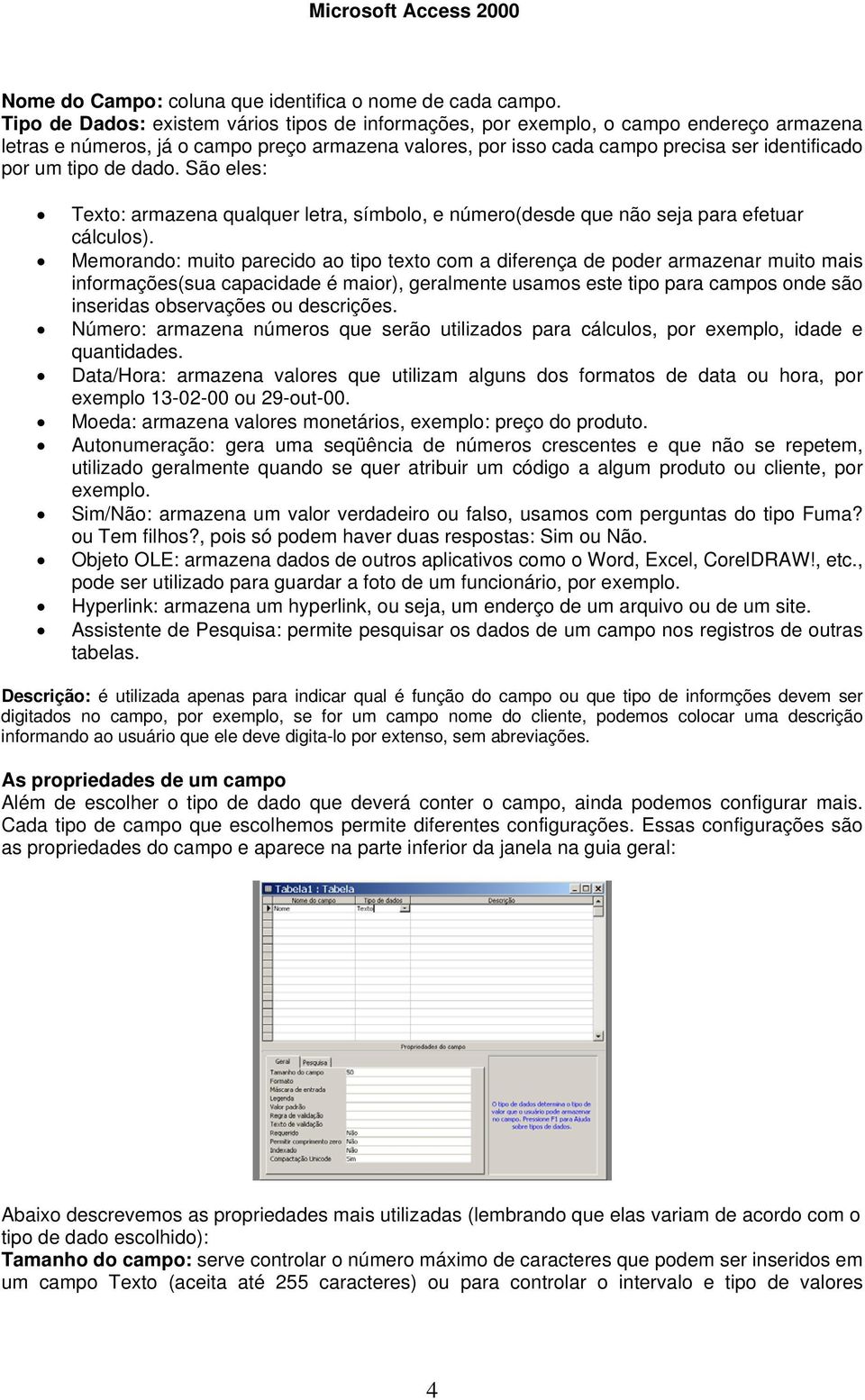 tipo de dado. São eles: Texto: armazena qualquer letra, símbolo, e número(desde que não seja para efetuar cálculos).