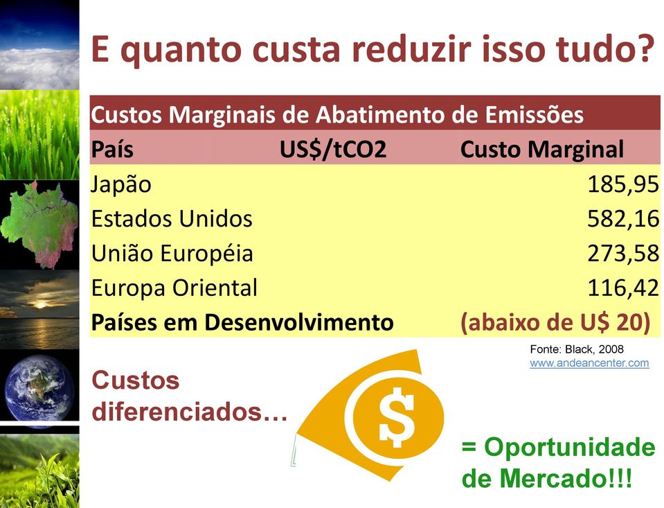 185,95 Estados Unidos 582,16 União Européia 273,58 Europa Oriental 116,42