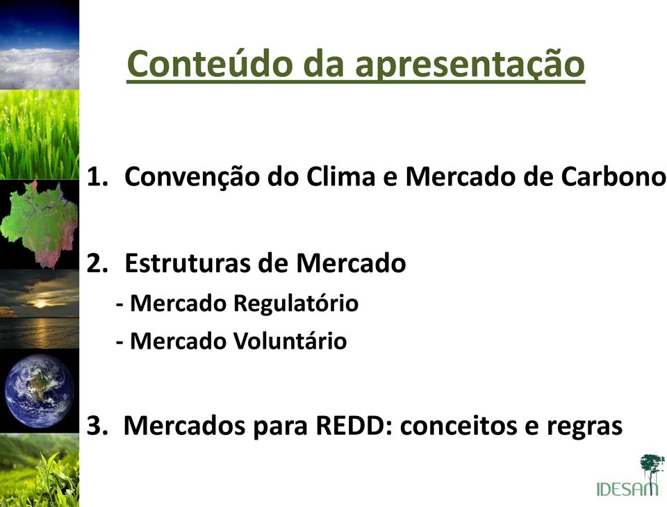 Estruturas de Mercado - Mercado Regulatório