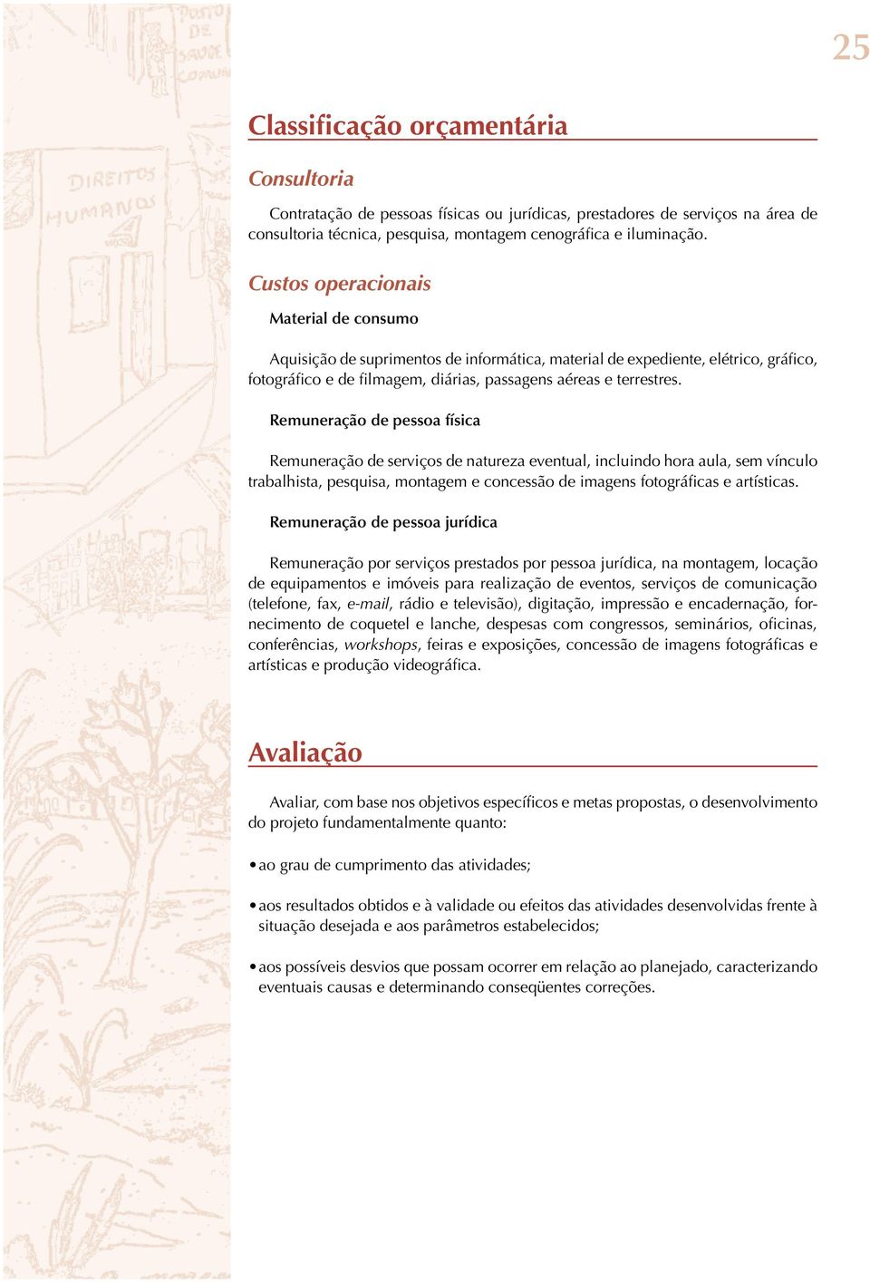 Remuneração de pessoa física Remuneração de serviços de natureza eventual, incluindo hora aula, sem vínculo trabalhista, pesquisa, montagem e concessão de imagens fotográficas e artísticas.