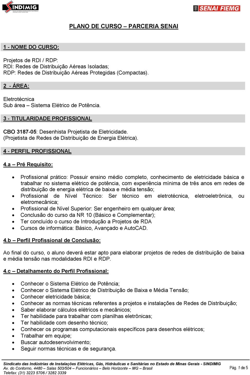 (Projetista de Redes de Distribuição de Energia Elétrica). 4 - PERFIL PROFISSIONAL 4.