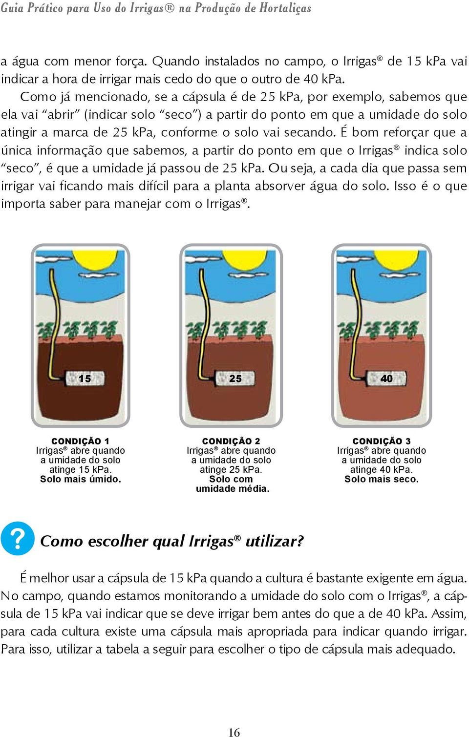 secando. É bom reforçar que a única informação que sabemos, a partir do ponto em que o Irrigas indica solo seco, é que a umidade já passou de 25 kpa.