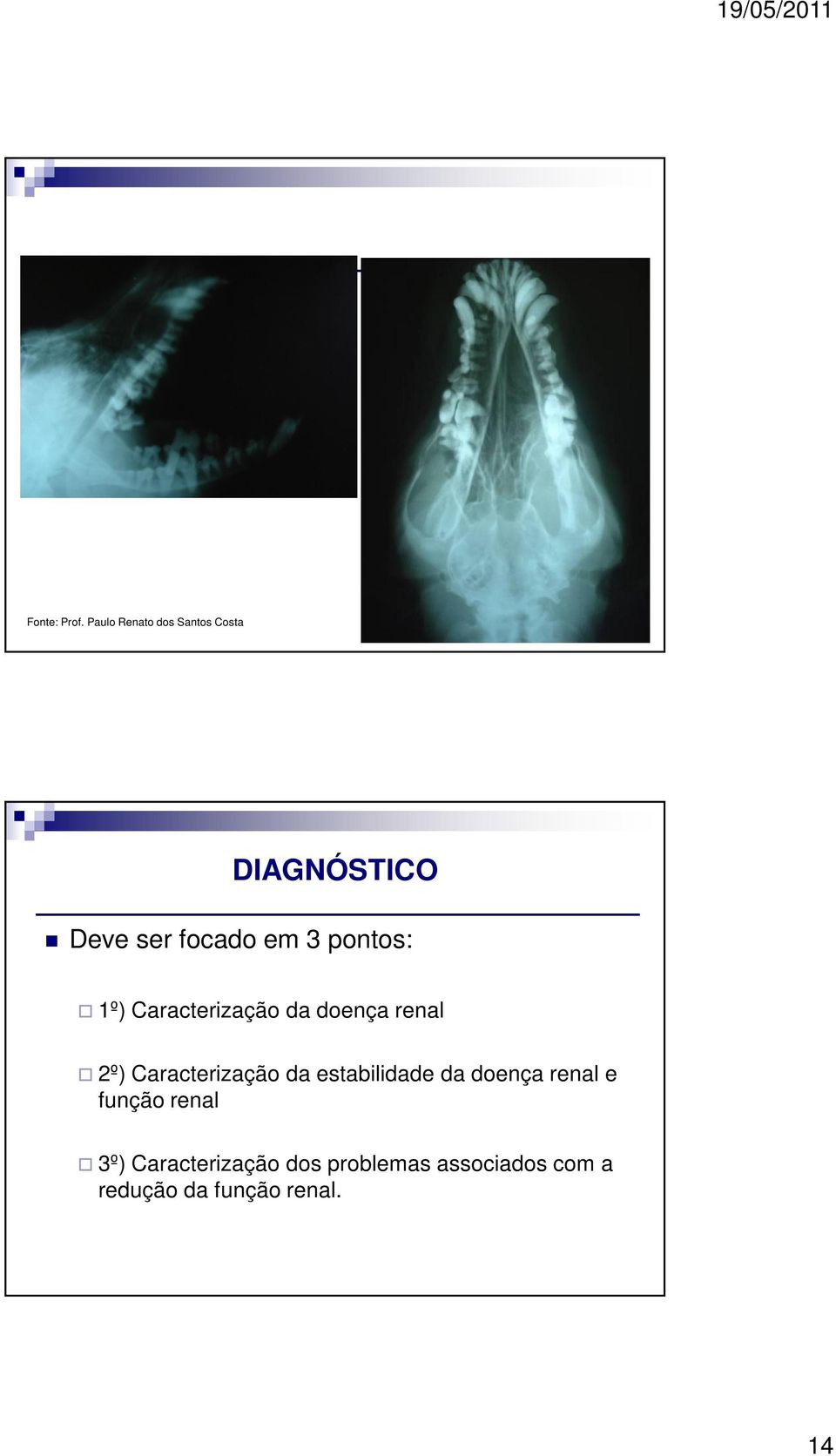pontos: 1º) Caracterização da doença renal 2º) Caracterização da