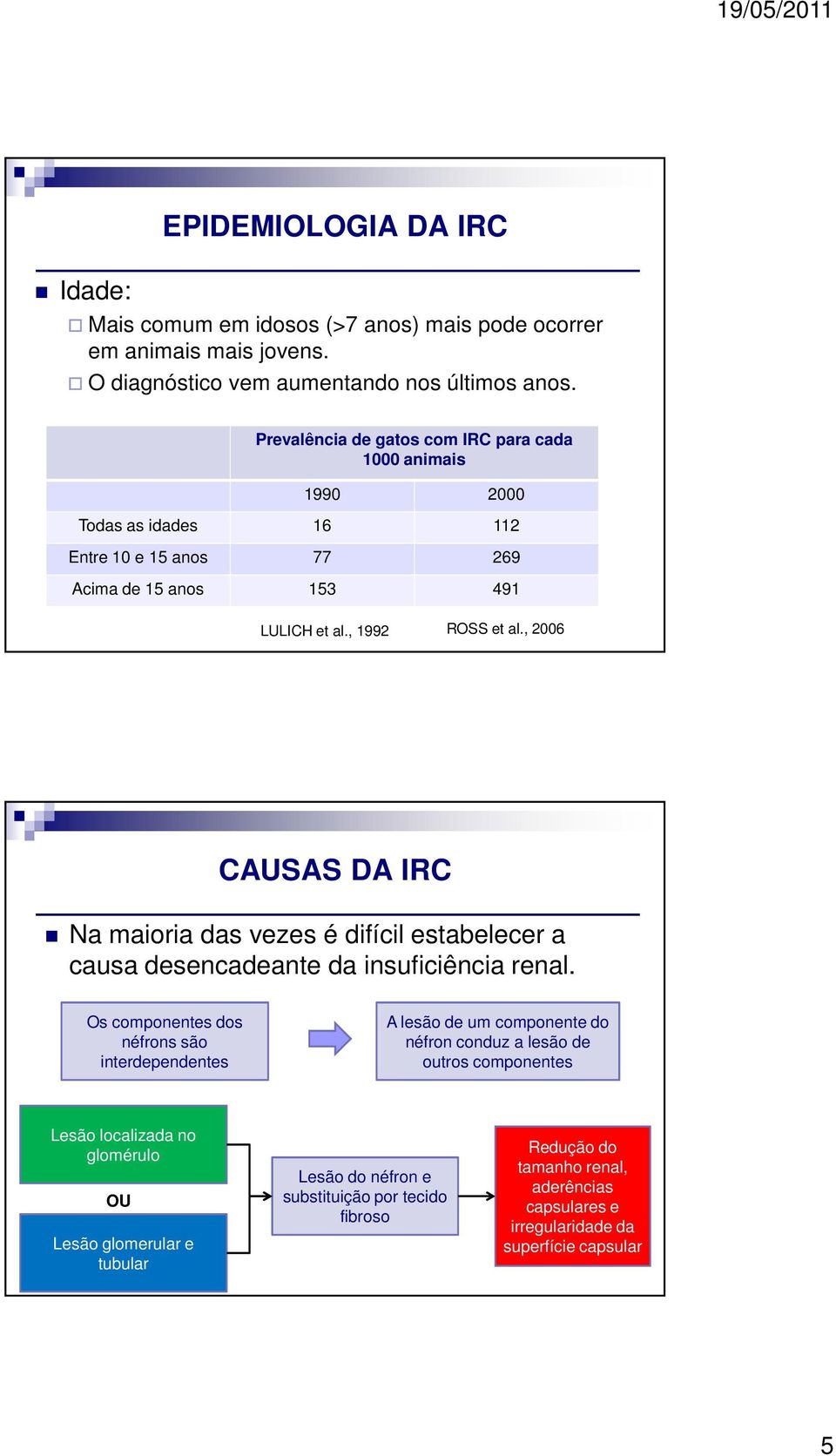 , 2006 CAUSAS DA IRC Na maioria das vezes é difícil estabelecer a causa desencadeante da insuficiência renal.