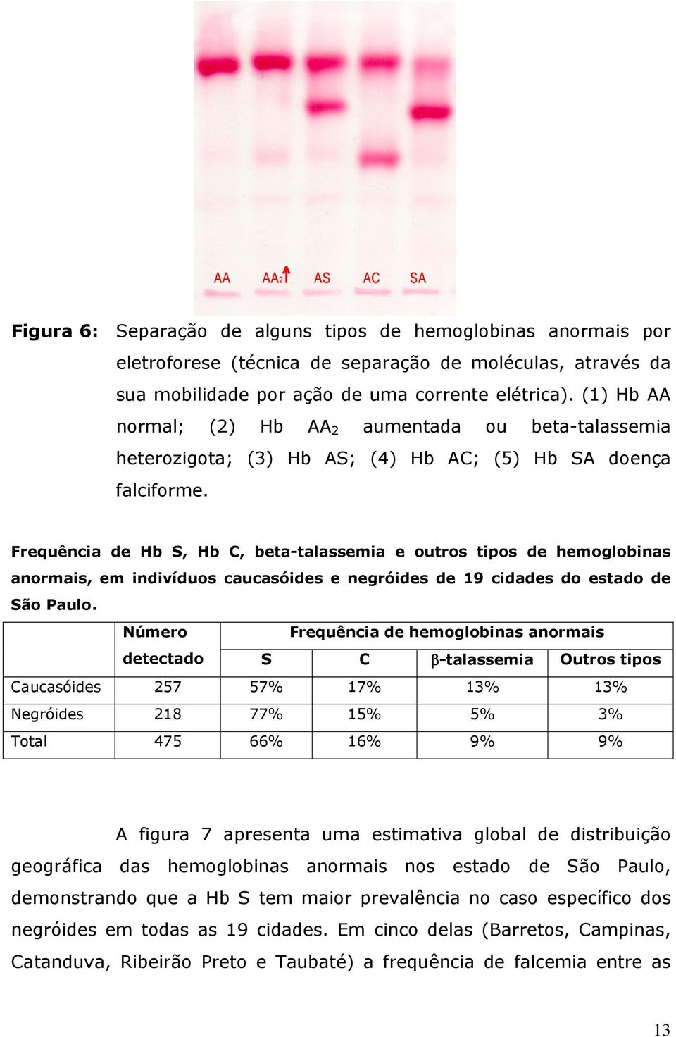 Frequência de Hb S, Hb C, beta-talassemia e outros tipos de hemoglobinas anormais, em indivíduos caucasóides e negróides de 19 cidades do estado de São Paulo.