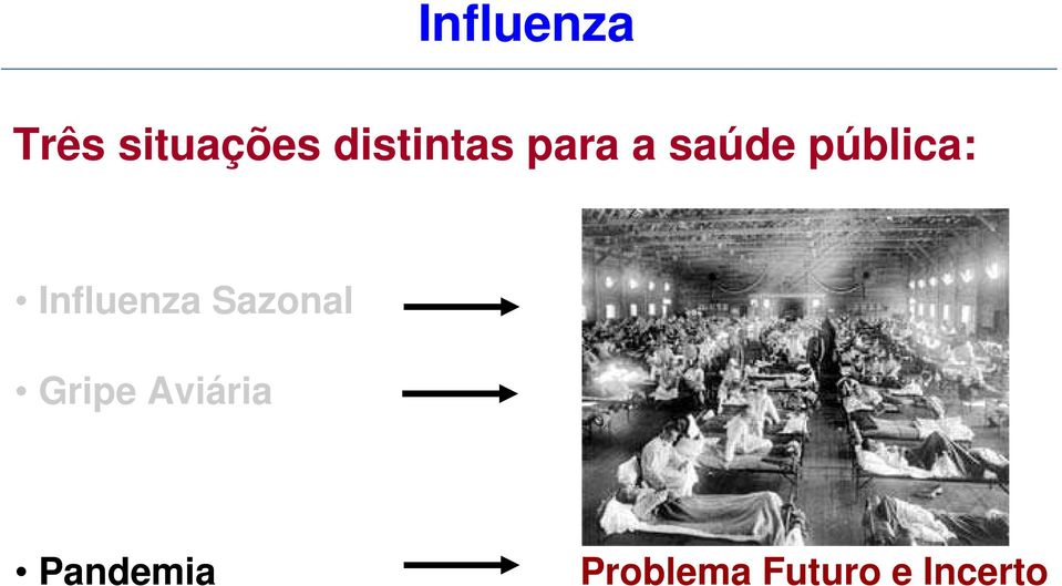 Gripe Aviária Problema Permanente