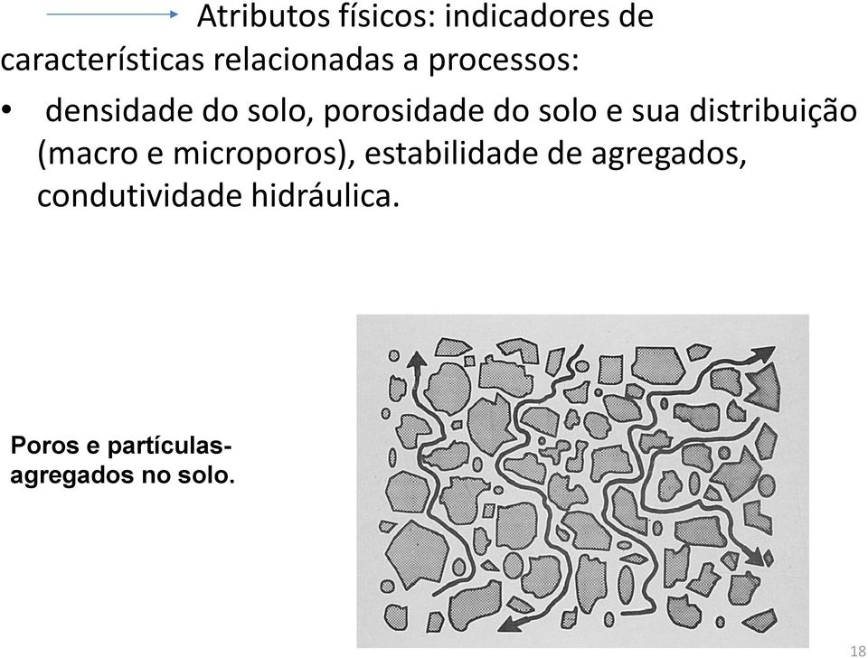 solo e sua distribuição (macro e microporos), estabilidade de