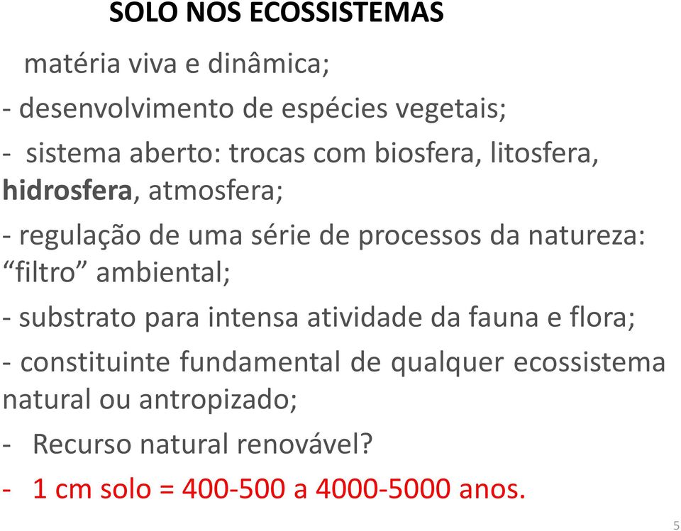 filtro ambiental; - substrato para intensa atividade da fauna e flora; - constituinte fundamental de