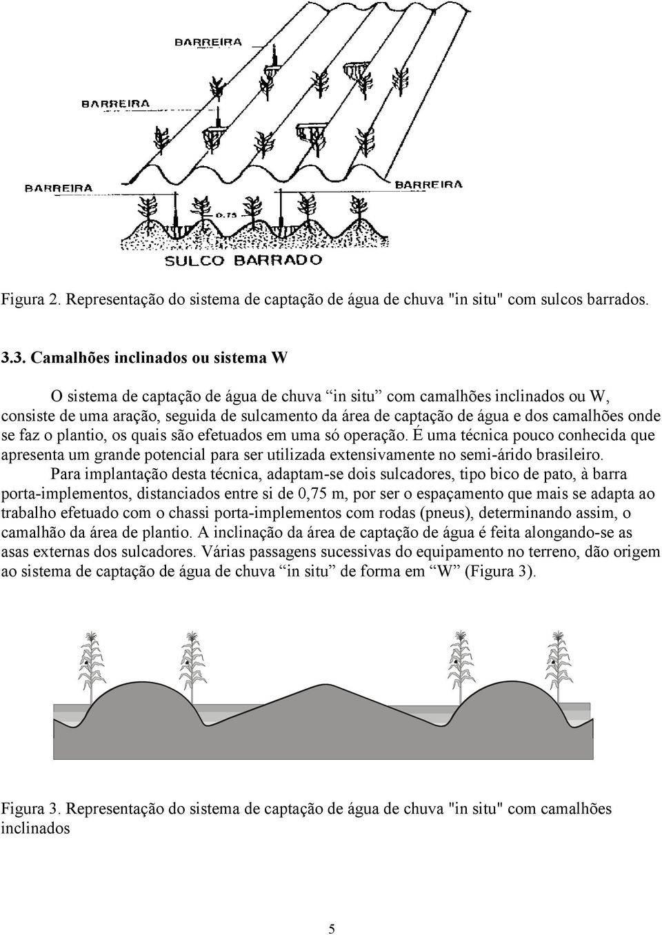 camalhões onde se faz o plantio, os quais são efetuados em uma só operação. É uma técnica pouco conhecida que apresenta um grande potencial para ser utilizada extensivamente no semi-árido brasileiro.