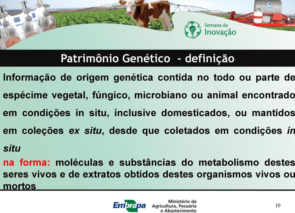 mantidos em coleções ex situ, desde que coletados em condições in situ na forma: moléculas e