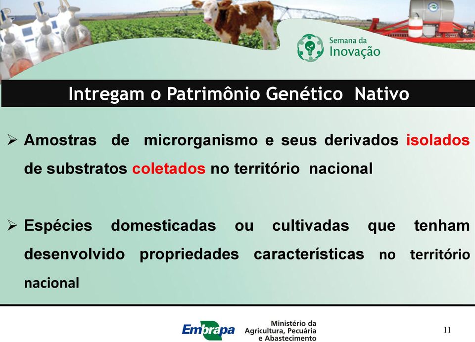 coletados no território nacional Espécies domesticadas ou