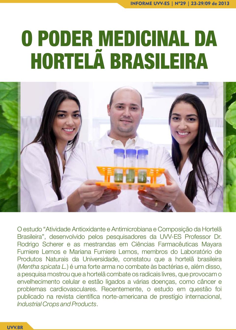 brasileira (Mentha spicata L.