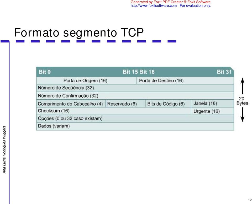 TCP 12