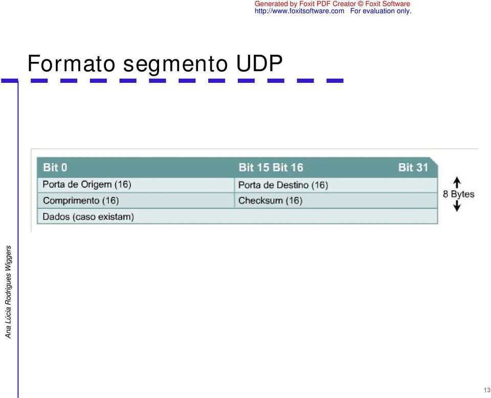 UDP 13