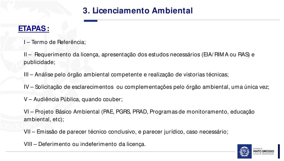 pelo órgão ambiental, uma única vez; V Audiência Pública, quando couber; VI Projeto Básico Ambiental (PAE, PGRS, PRAD, Programas de monitoramento,