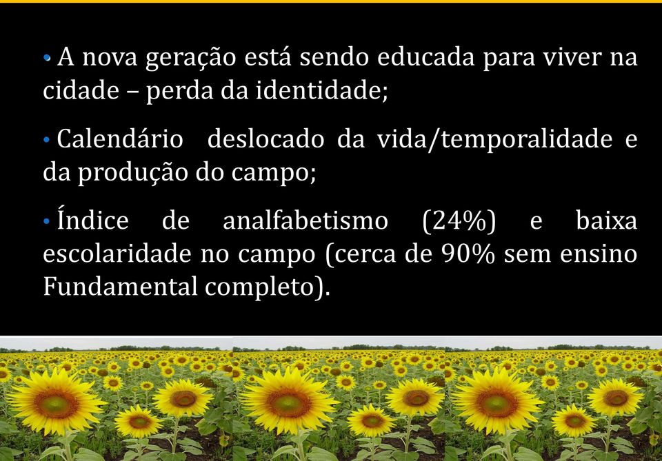 produção do campo; Índice de analfabetismo (24%) e baixa