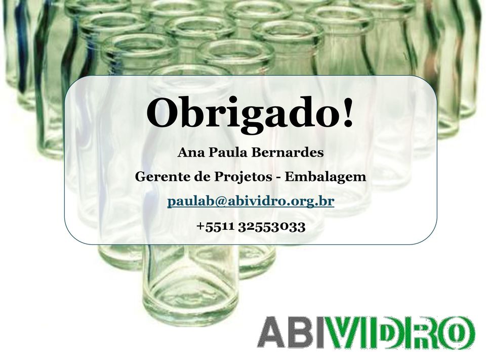 Gerente de Projetos -