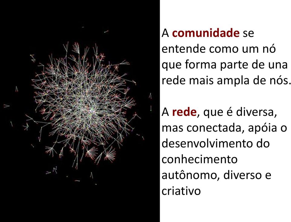 A rede, que é diversa, mas conectada, apóia o