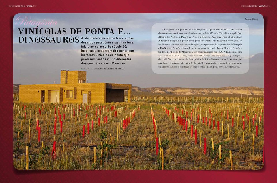 vinhos muito diferentes dos que nascem em Mendoza texto e fotos GUSTAVO ANDRADE DE PAULO A Patagônia é um planalto semiárido que ocupa praticamente todo o extremo sul do continente americano,