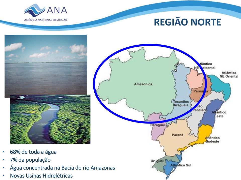 na Bacia do rio Amazonas