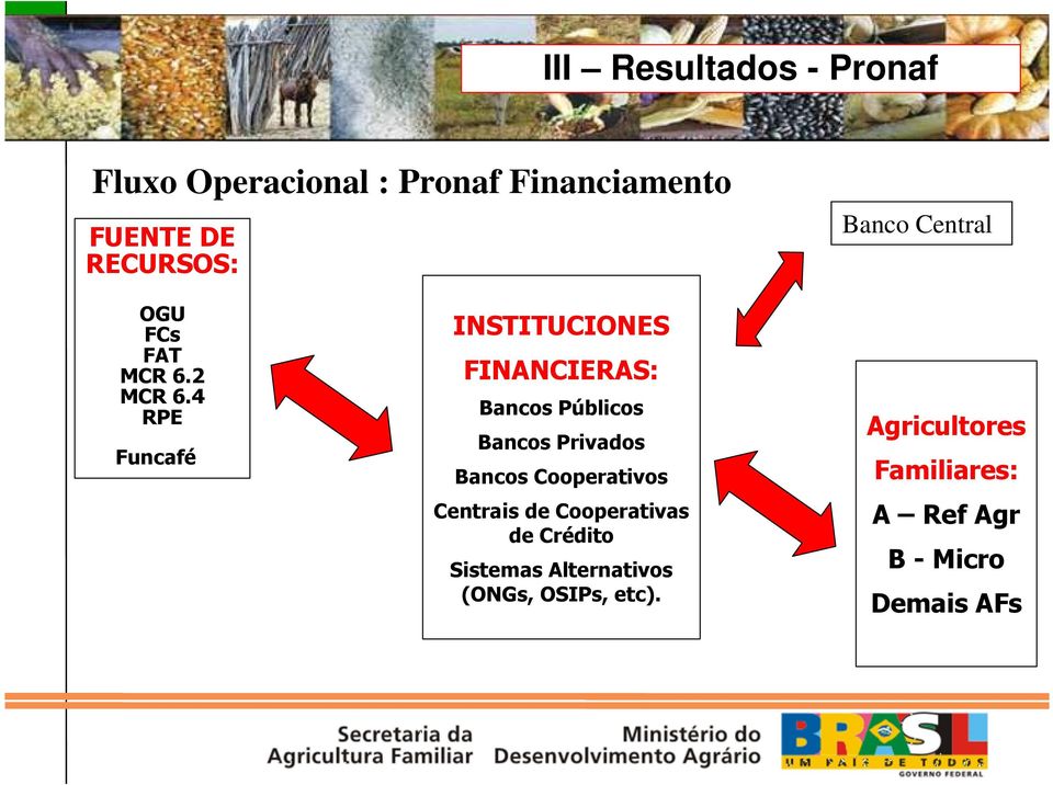 4 RPE Funcafé INSTITUCIONES FINANCIERAS: Bancos Públicos Bancos Privados Bancos