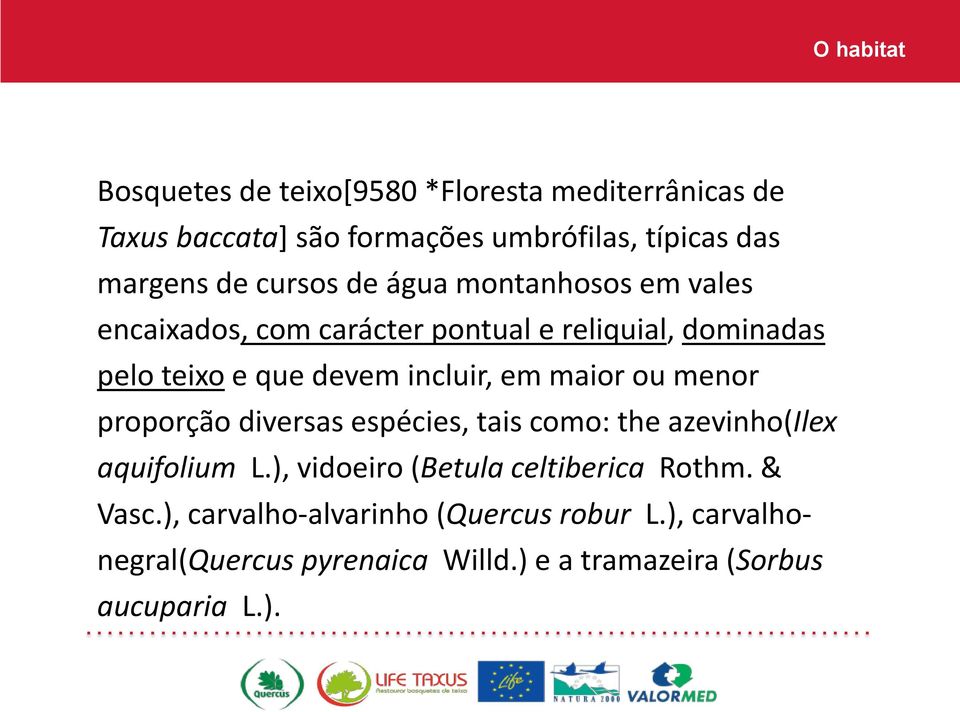 maior ou menor proporção diversas espécies, tais como: the azevinho(ilex aquifolium L.), vidoeiro (Betula celtiberica Rothm.