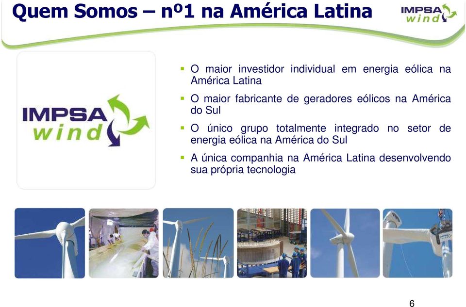 do Sul O único grupo totalmente integrado no setor de energia eólica na