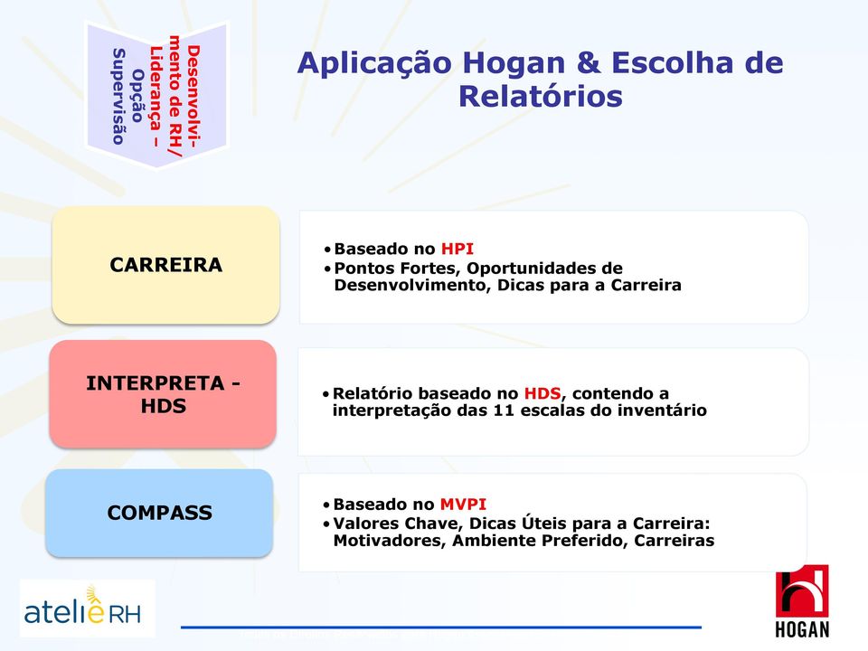 Relatório baseado no HDS, contendo a interpretação das 11 escalas do inventário Baseado