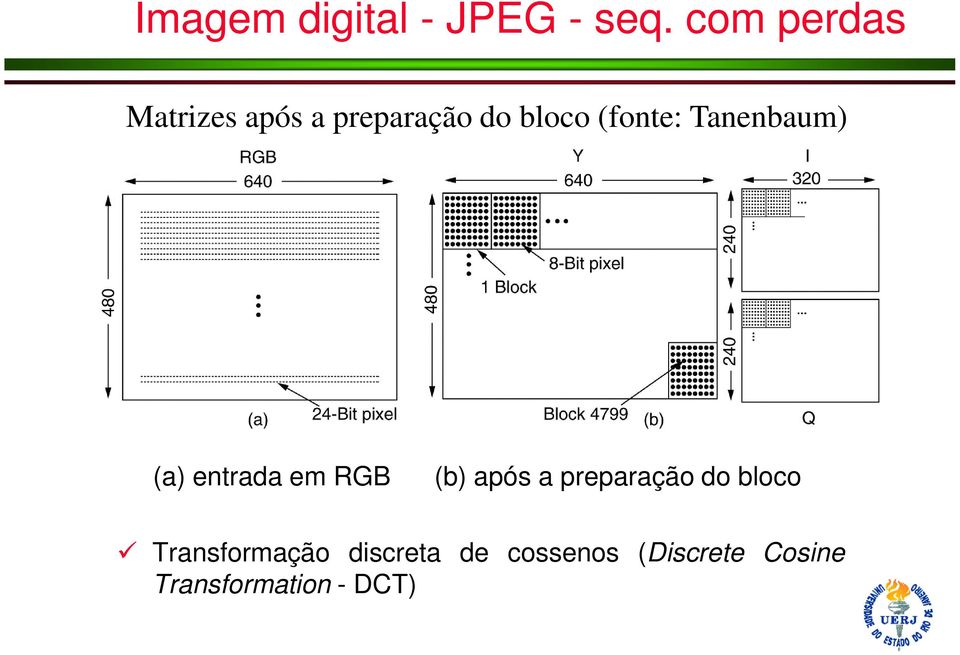 Tanenbaum) (a) entrada em RGB (b) após a preparação do