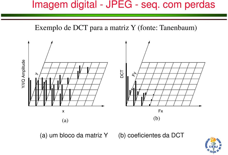 matriz Y (fonte: Tanenbaum) (a) (a)