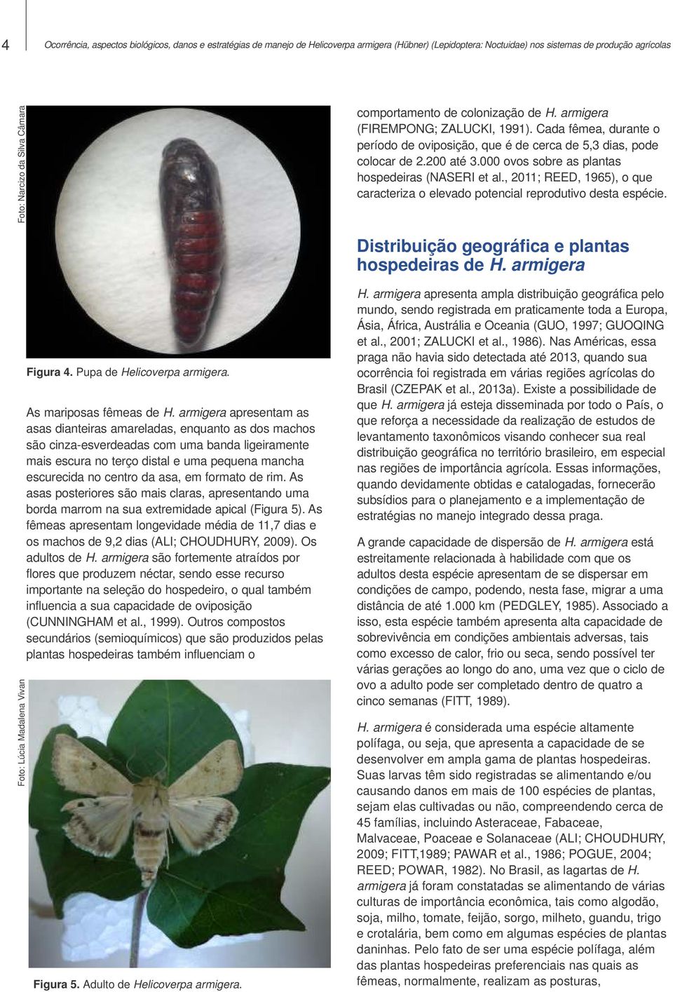 000 ovos sobre as plantas hospedeiras (NASERI et al., 2011; REED, 1965), o que caracteriza o elevado potencial reprodutivo desta espécie. Distribuição geográfica e plantas hospedeiras de H.